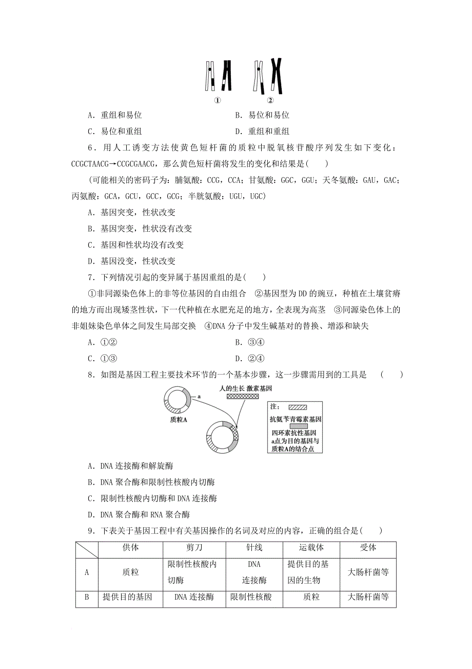 高中生物 4_4 基因突变和基因重组同步习题 苏教版必修21_第2页