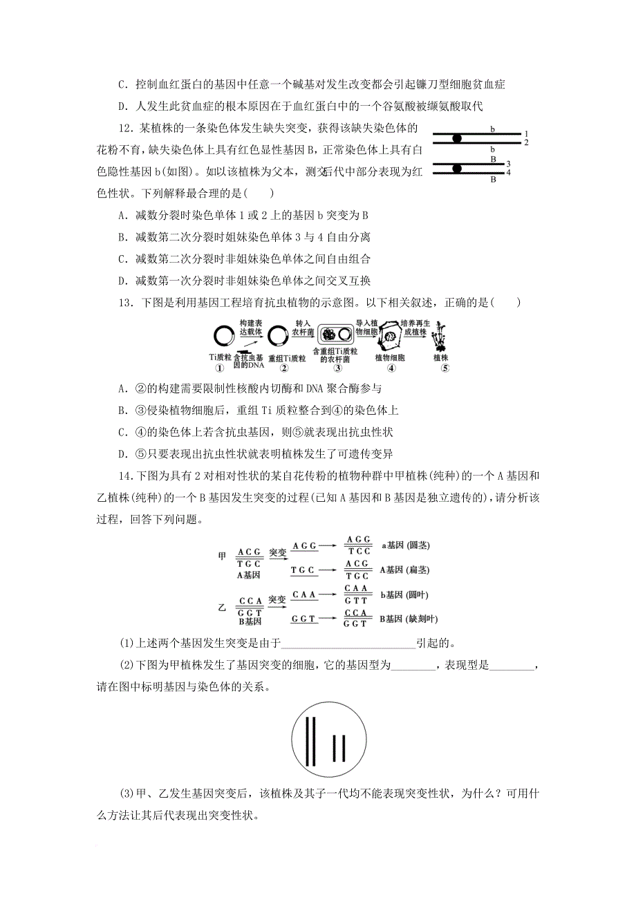 高中生物 4_4 基因突变和基因重组同步习题 苏教版必修21_第4页