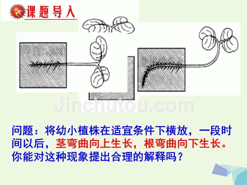 高中生物 第三章 植物的激素调节 3_2 生长素的生理作用课件 新人教版必修31_第1页