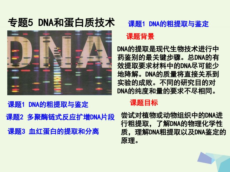 高中生物 专题5 dna和蛋白质技术 课题1 dna的粗提取与鉴定课件 新人教版选修_第1页