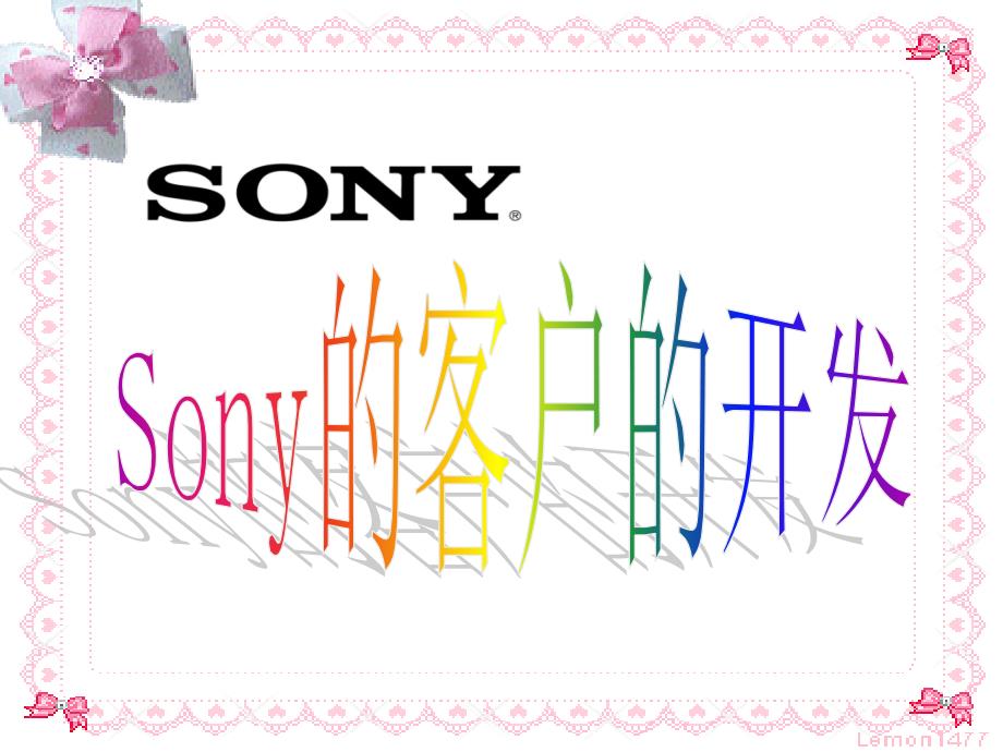 客户开发案例：sony客户开发_第1页