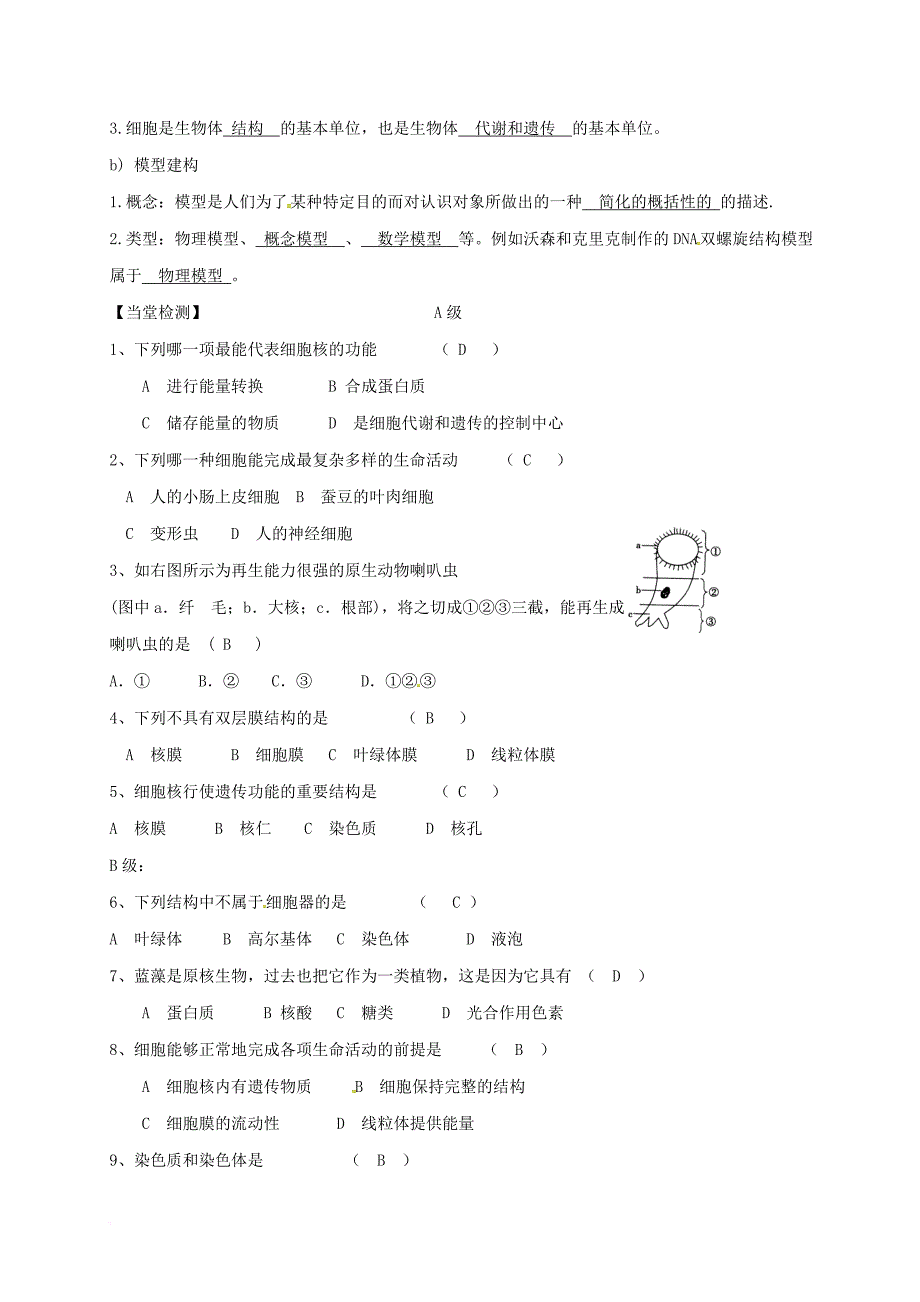 高中生物 第三章 细胞的基本结构 3_3 细胞核—系统的控制中心导学案（答案不全）新人教版必修1_第3页