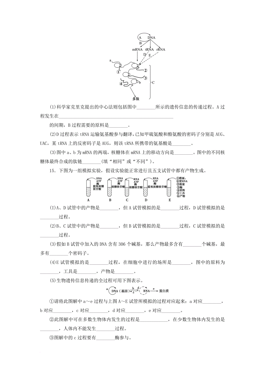 高中生物 4_3 基因控制蛋白质的合成同步习题 苏教版必修21_第4页