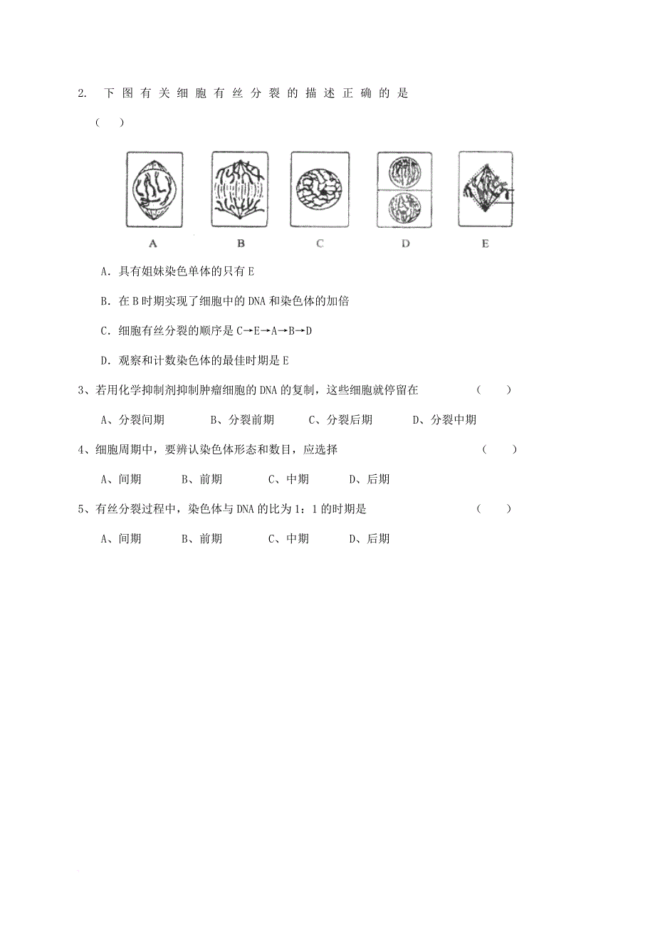 高中生物 第六章 细胞的生命历程 6_1 细胞的增殖学案（无答案）新人教版必修1_第3页