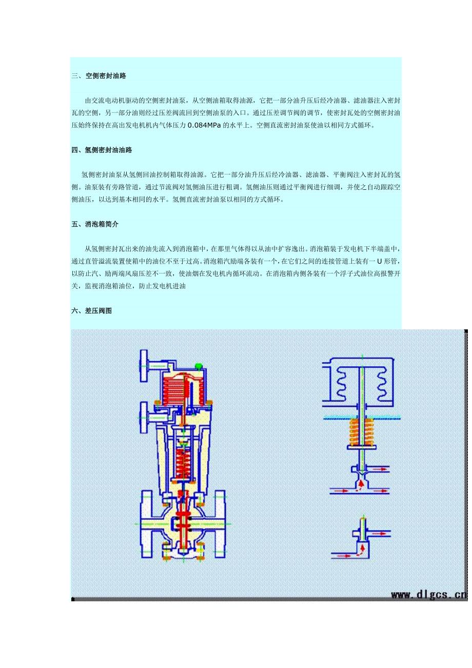 发电机组密封油系统工作原理图解与发电机进油分析_第2页