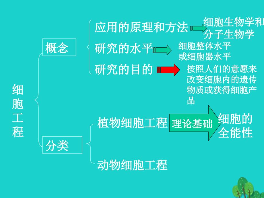 高中生物 专题2 细胞工程 2_1 植物细胞工程课件 新人教版选修31_第4页