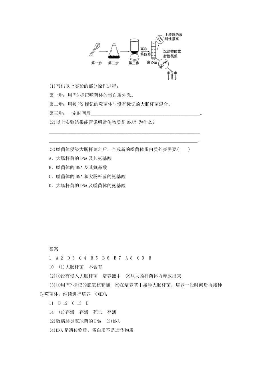 高中生物 4_1 探索遗传物质的过程同步习题 苏教版必修21_第5页