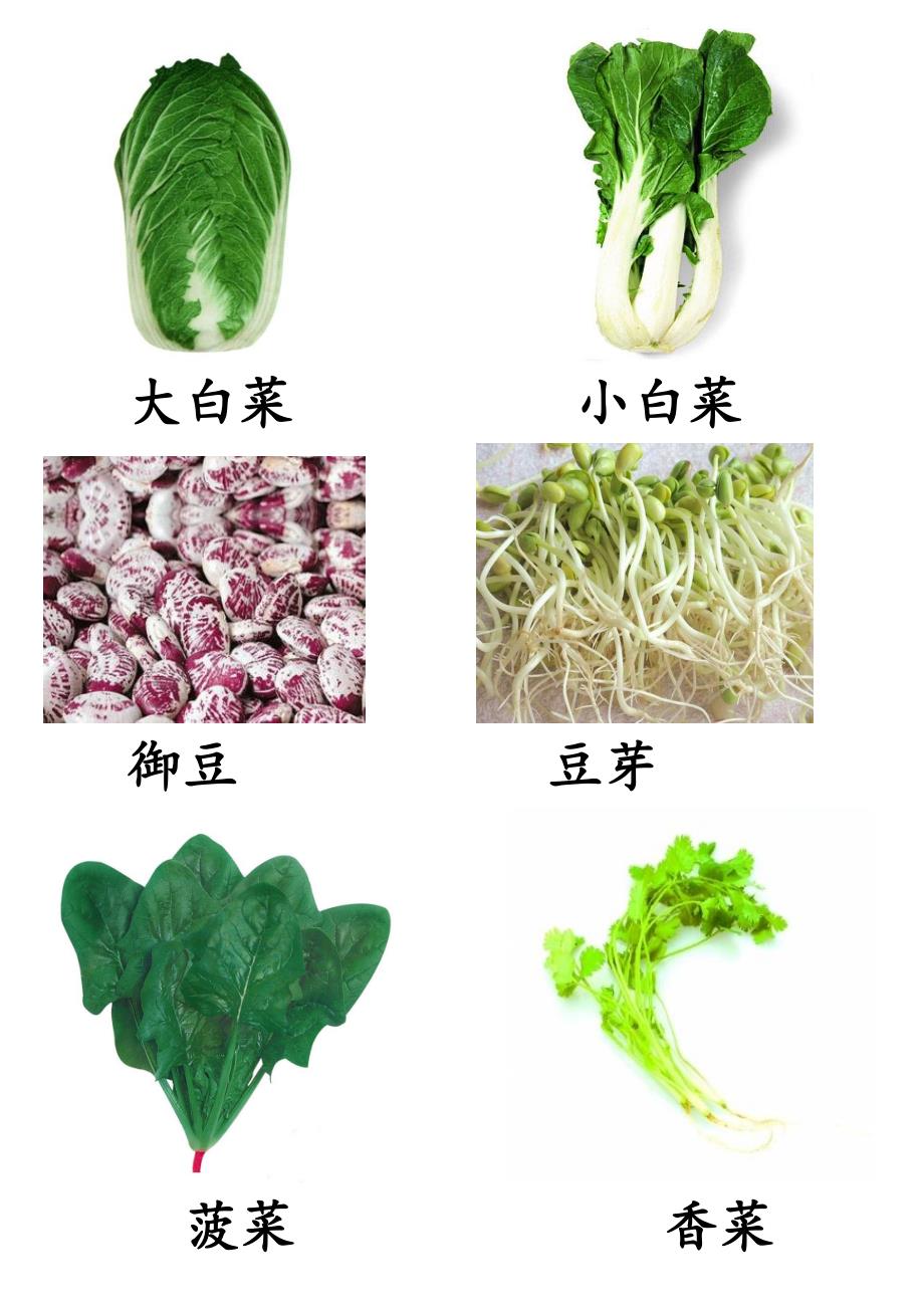 各种常见蔬菜图_第2页