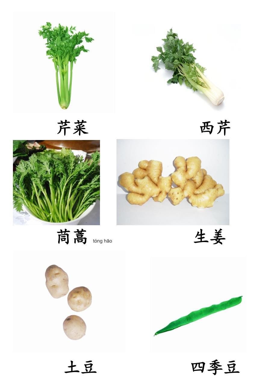 各种常见蔬菜图_第5页