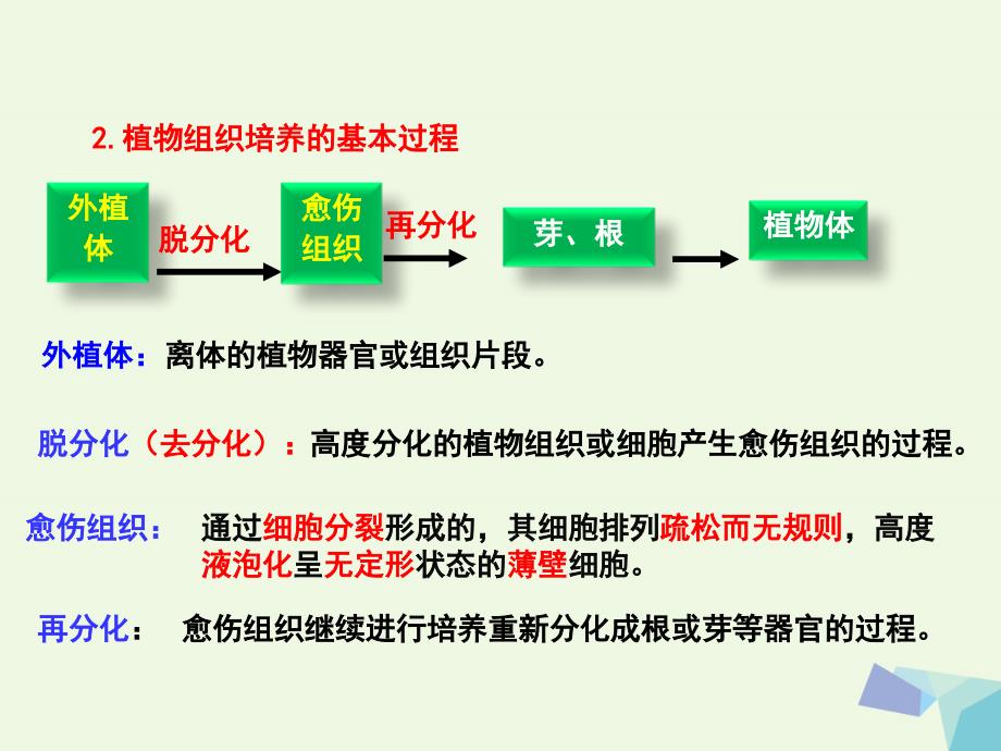 高中生物专题3植物的组织培养技术3_1菊花的组织培养课件基础版新人教版选修1_第4页