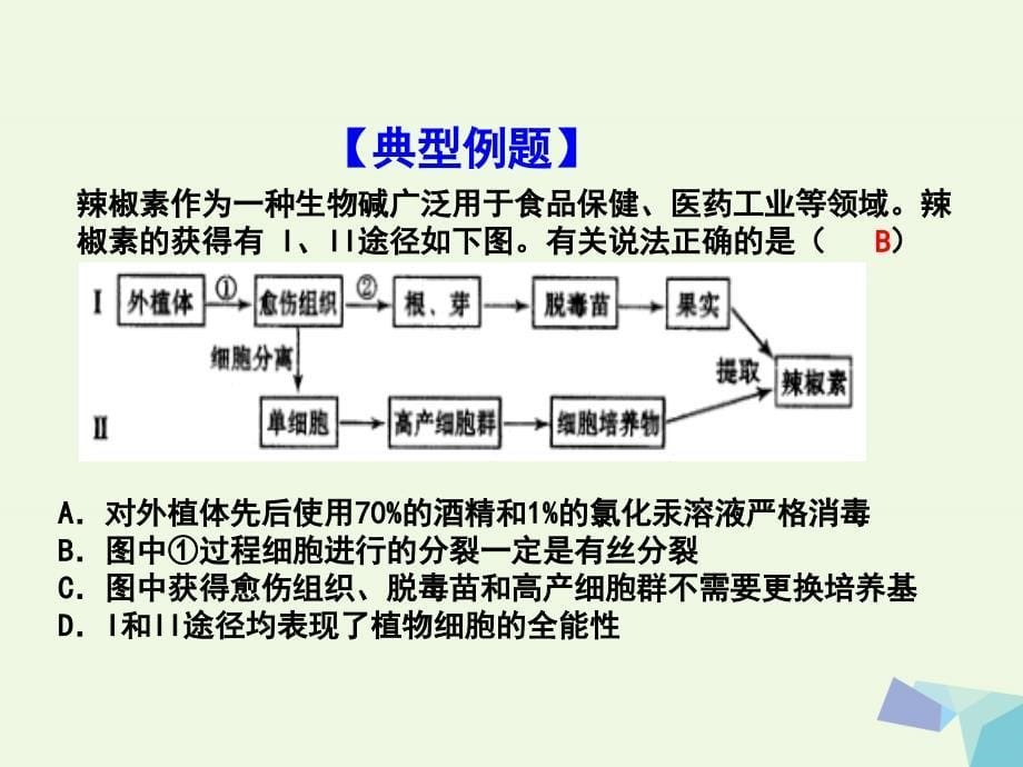 高中生物专题3植物的组织培养技术3_1菊花的组织培养课件基础版新人教版选修1_第5页