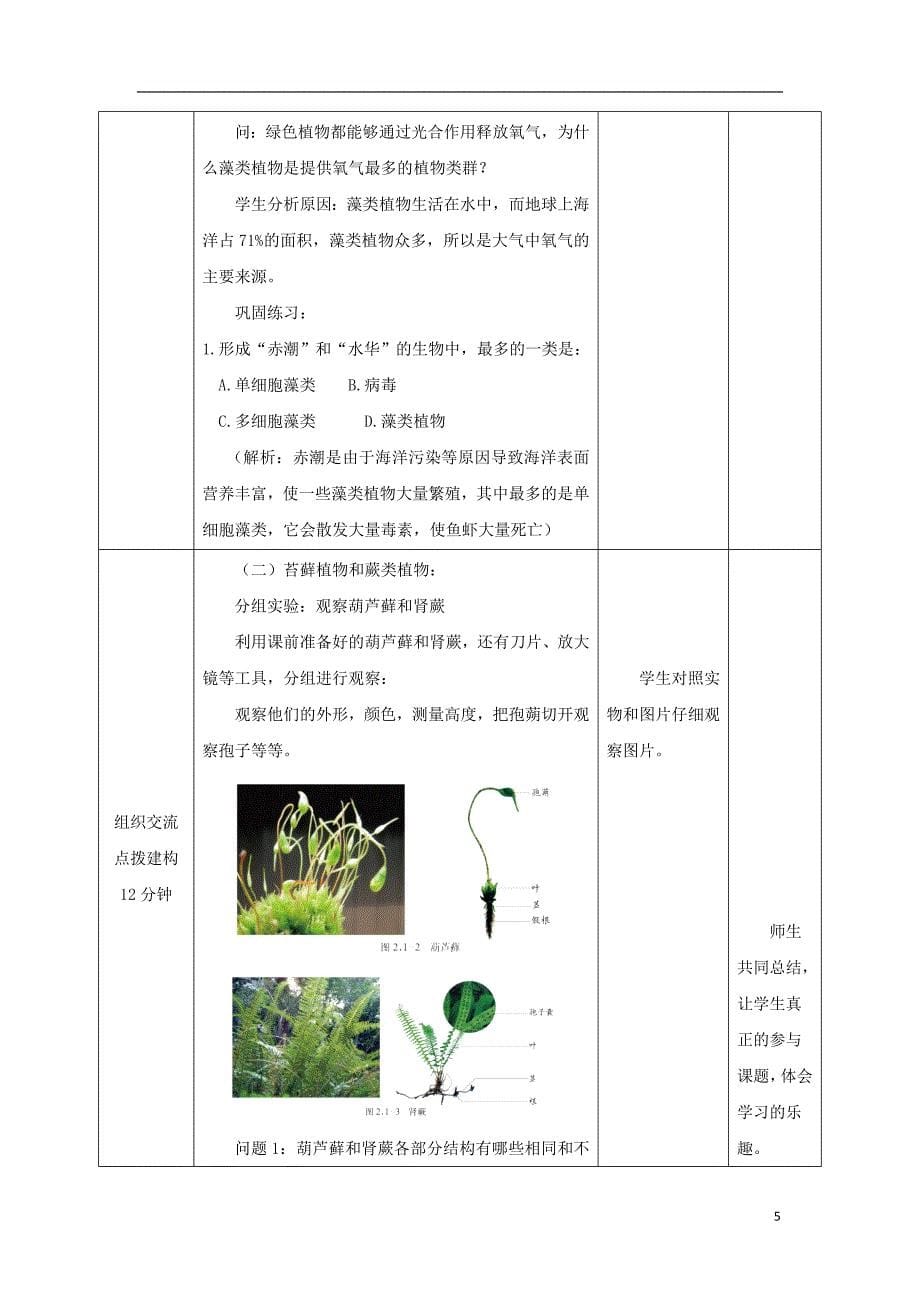 七年级生物上册 2.1.1《绿色植物的主要类群》第一课时教案 （新版）济南版_第5页