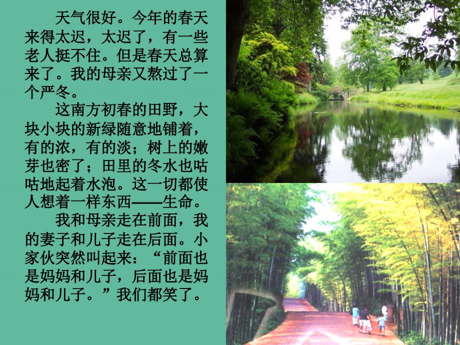 河北省南宫市七年级语文上册 6 散步课件 新人教版_第4页