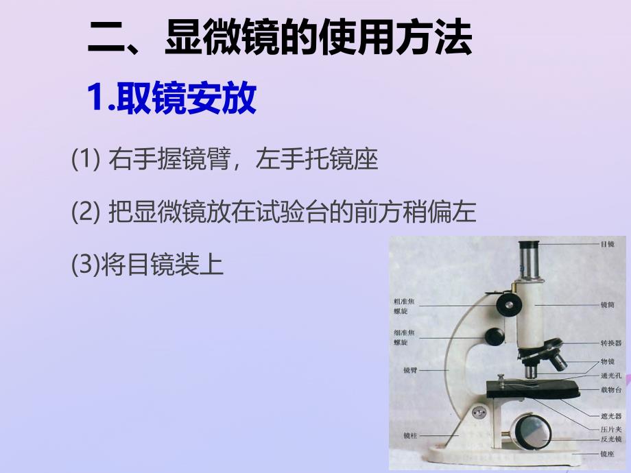 2018-2019学年高中生物 专题03 高倍显微镜的使用同步课件 新人教版必修1_第4页