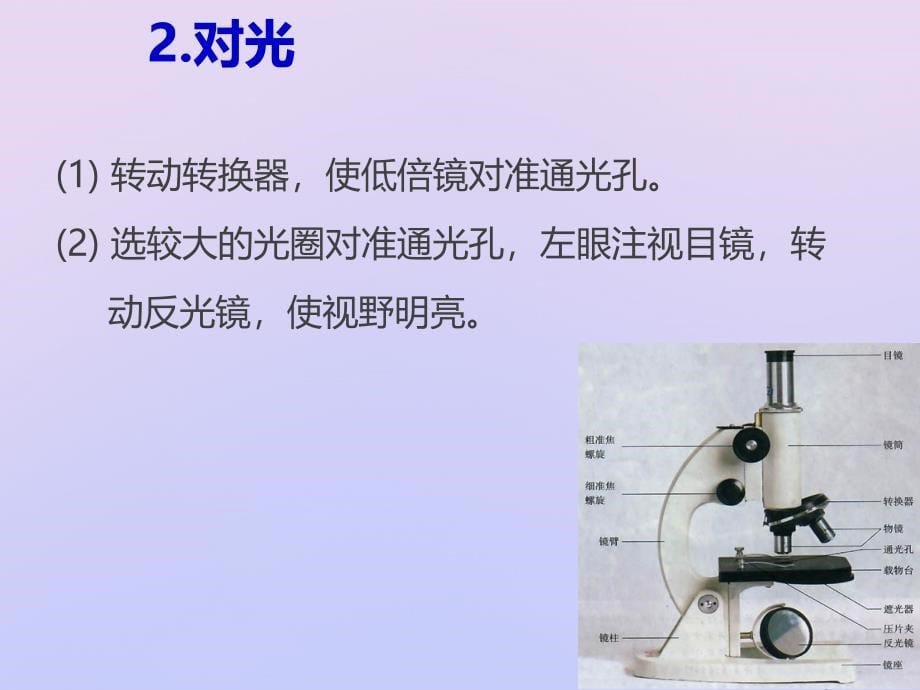 2018-2019学年高中生物 专题03 高倍显微镜的使用同步课件 新人教版必修1_第5页