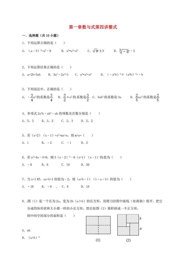 中考数学一轮复习 第一章 数与式 第四讲 整式专题精练（无答案） 浙教版