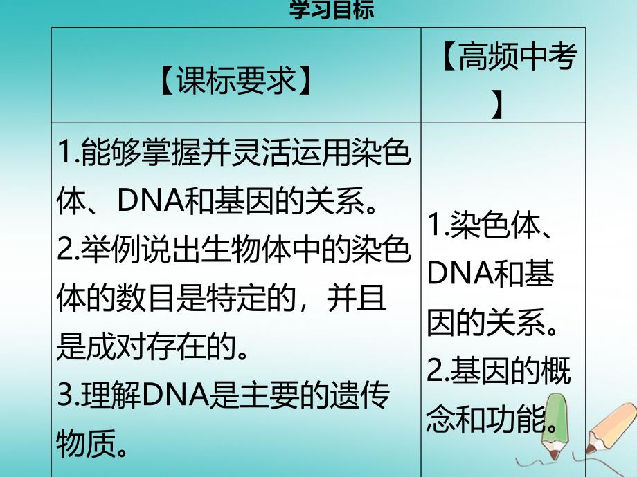 八年级生物上册第六单元第20章第2节性状遗传的物质基础习题课件新版北师大版_第2页