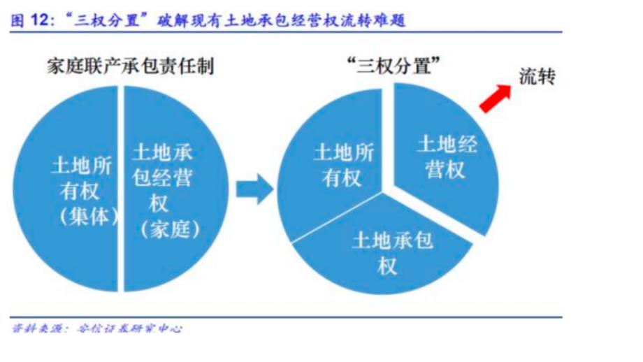 三权分置-供给侧结构性改革_第2页