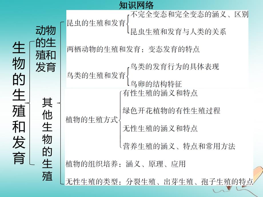 八年级生物上册第六单元第19章生物的生殖和发育章末小结习题课件新版北师大版_第3页