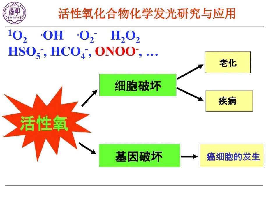 活性氧化物的化学发光-清华 林金明_第5页