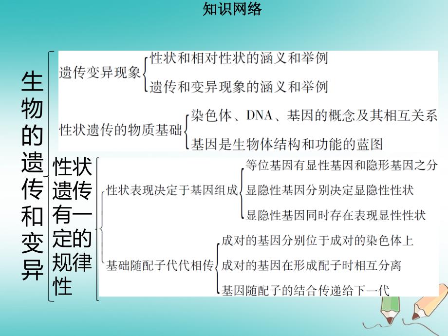 八年级生物上册第六单元第20章生物的遗传和变异章末小结习题课件新版北师大版_第2页