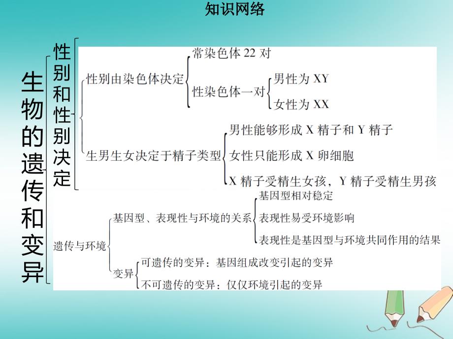 八年级生物上册第六单元第20章生物的遗传和变异章末小结习题课件新版北师大版_第3页