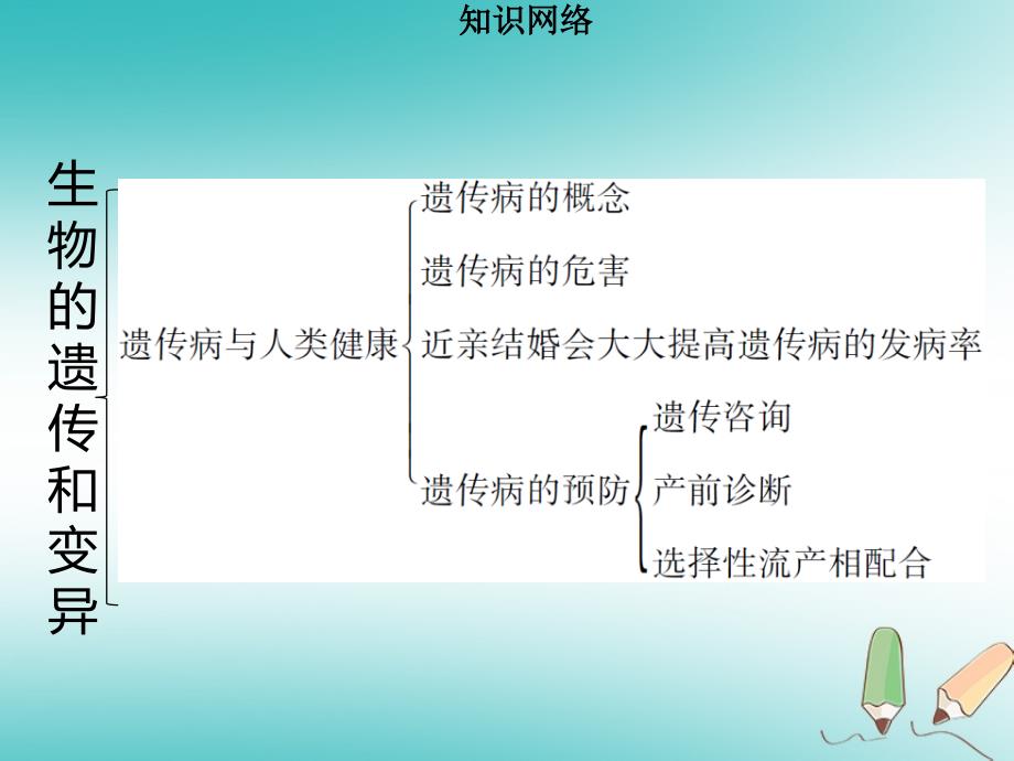 八年级生物上册第六单元第20章生物的遗传和变异章末小结习题课件新版北师大版_第4页