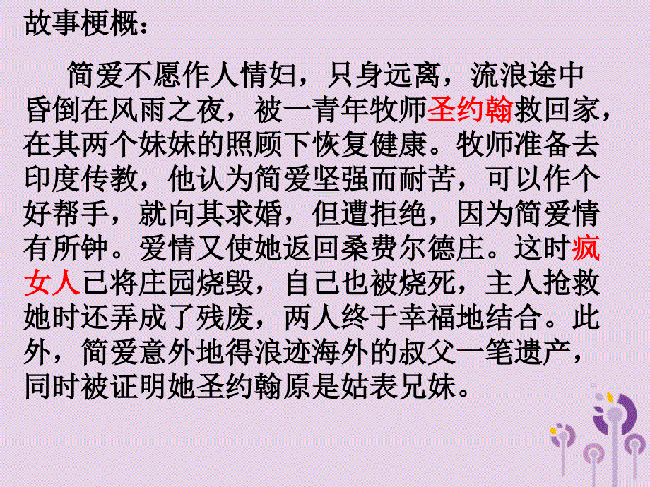 广东省深圳市宝安区中考语文 简爱复习课件_第3页