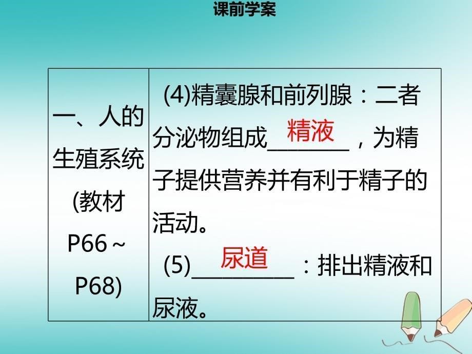 八年级生物上册第六单元第19章第1节人的生殖和发育第1课时人的生殖系统习题课件新版北师大版_第5页