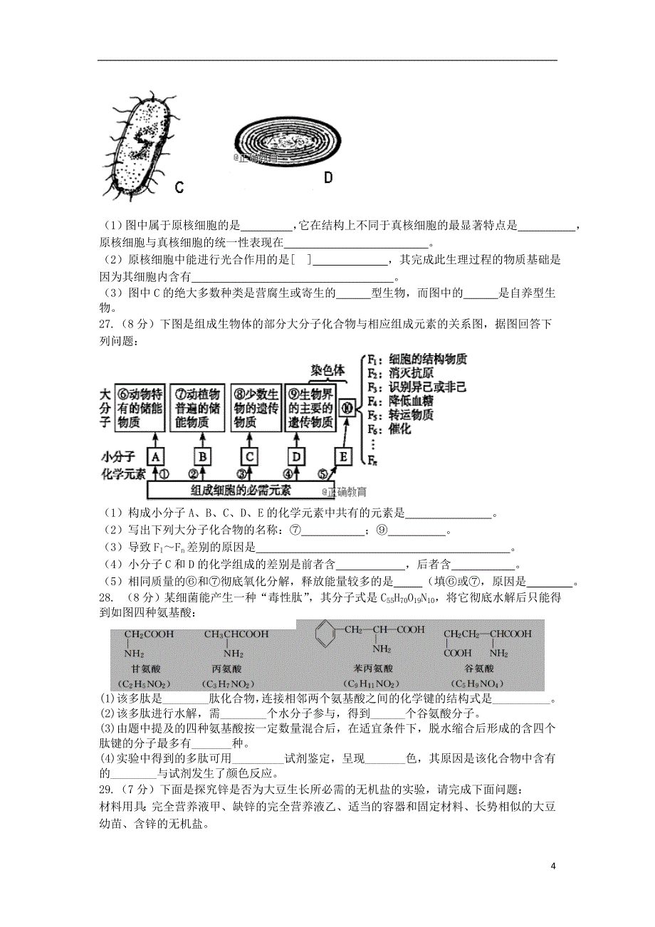 山东适城市泰西中学2018_2019学年高一生物10月月考试题_第4页