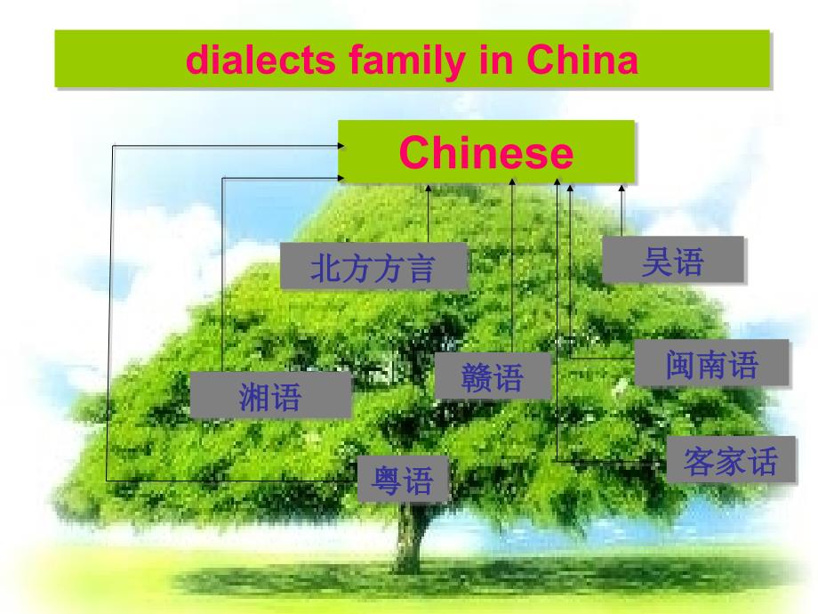 人教 必修一 unit1课件3_第3页