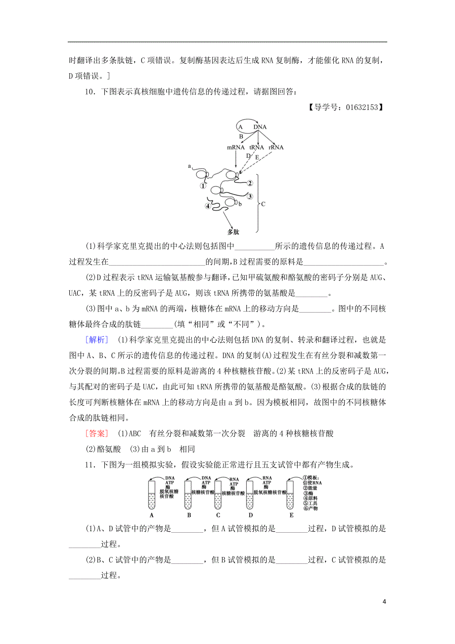 2018-2019高中生物 课时分层作业12 基因控制蛋白质的合成 苏教版必修2_第4页