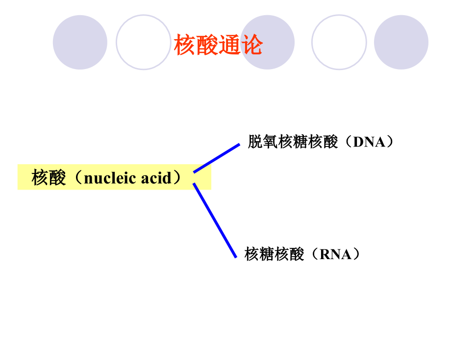 高中生物奥赛--细胞的化学成分2_第3页