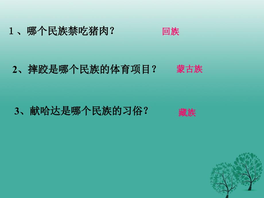 九年级政治全册 民族区域自治课件 鲁教版_第2页