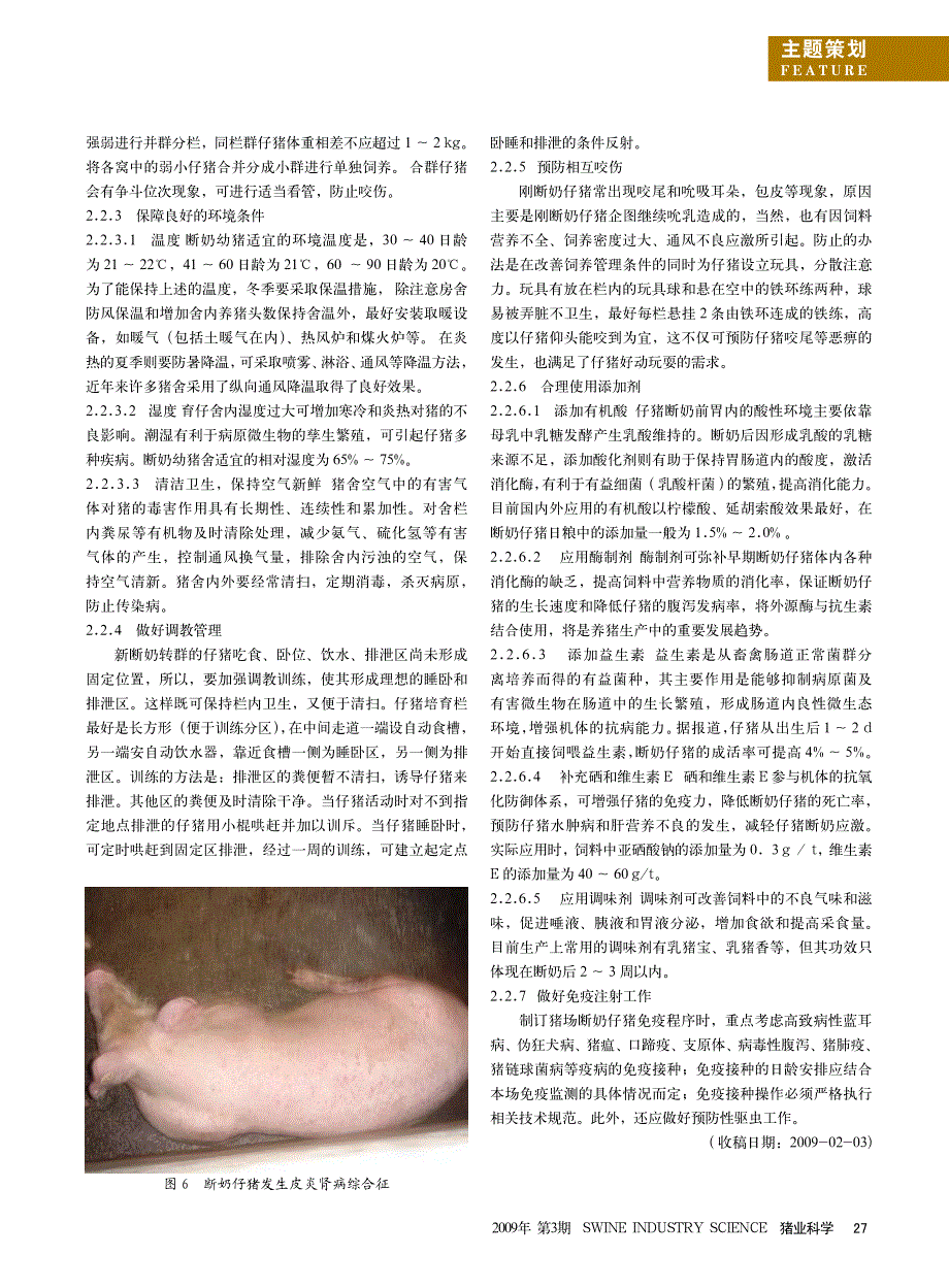 仔猪早期断奶的常见问题及_第3页