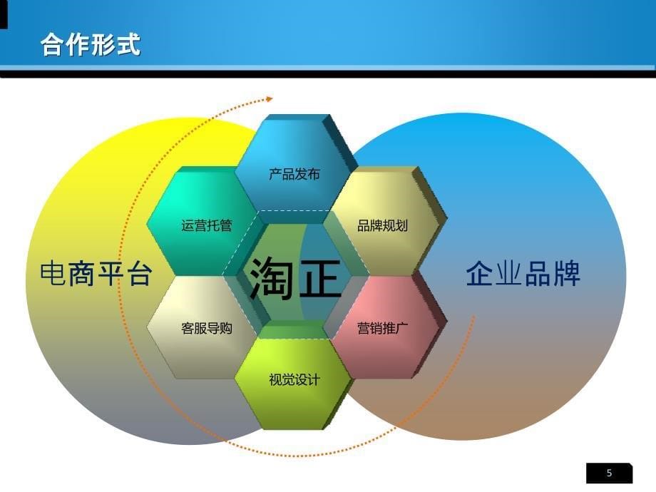 代运营最佳选择-杭州淘正网络技术有限公司_第5页
