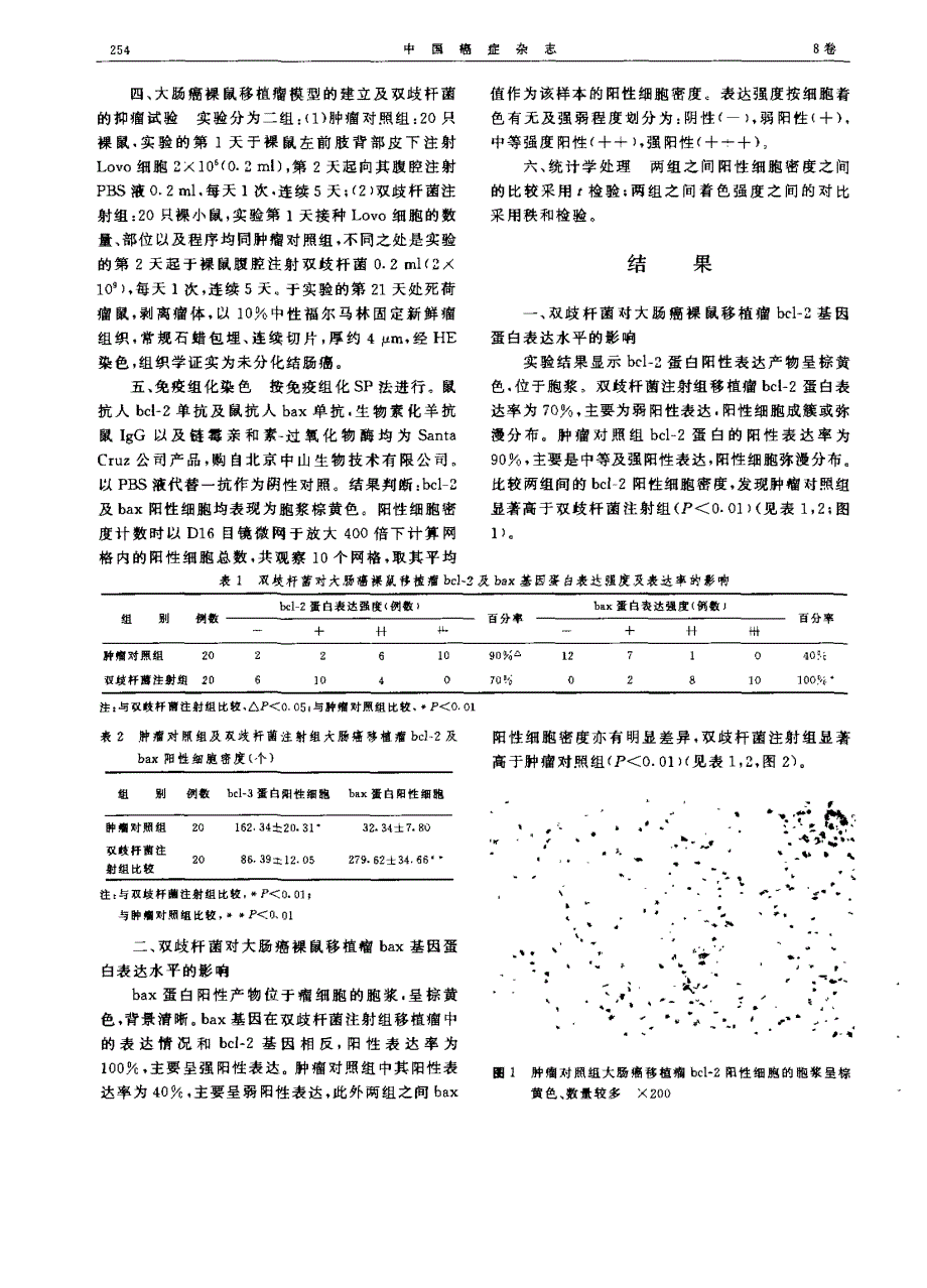 双歧杆菌对实验性大肠癌bcl 一2 及bax 基因表达的影响_第2页