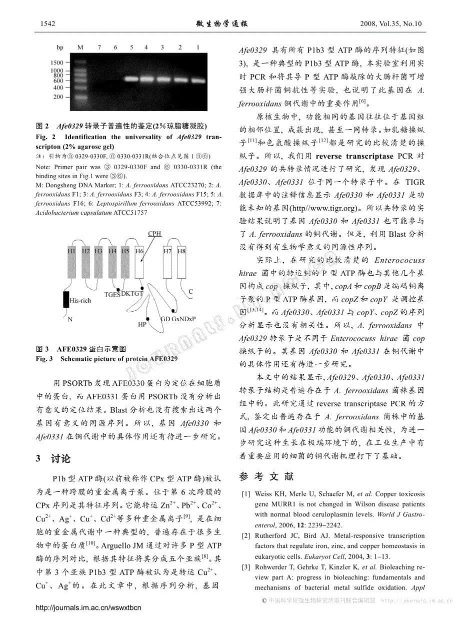 氧化亚铁硫杆菌铜代谢基因afe0329的转录子鉴定及分析_第5页