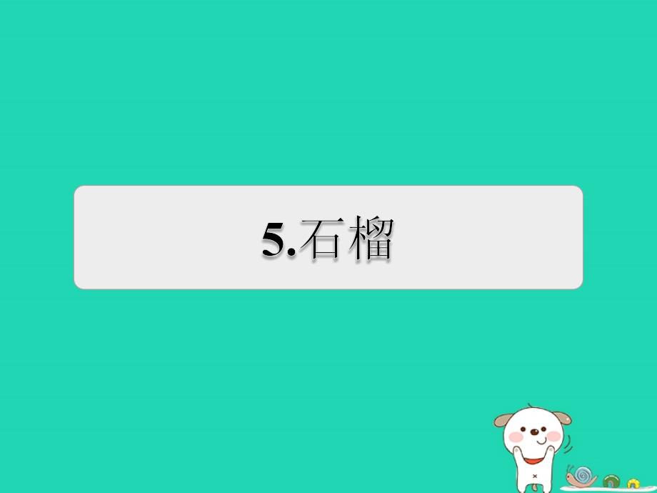 三年级语文上册第5单元16石榴习题课件1苏教版_第1页