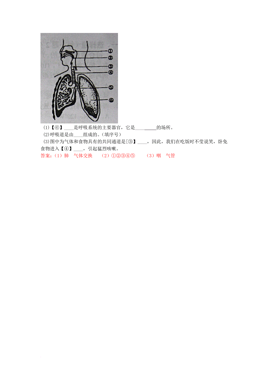 中考生物试题汇编 人体的呼吸系统_第2页