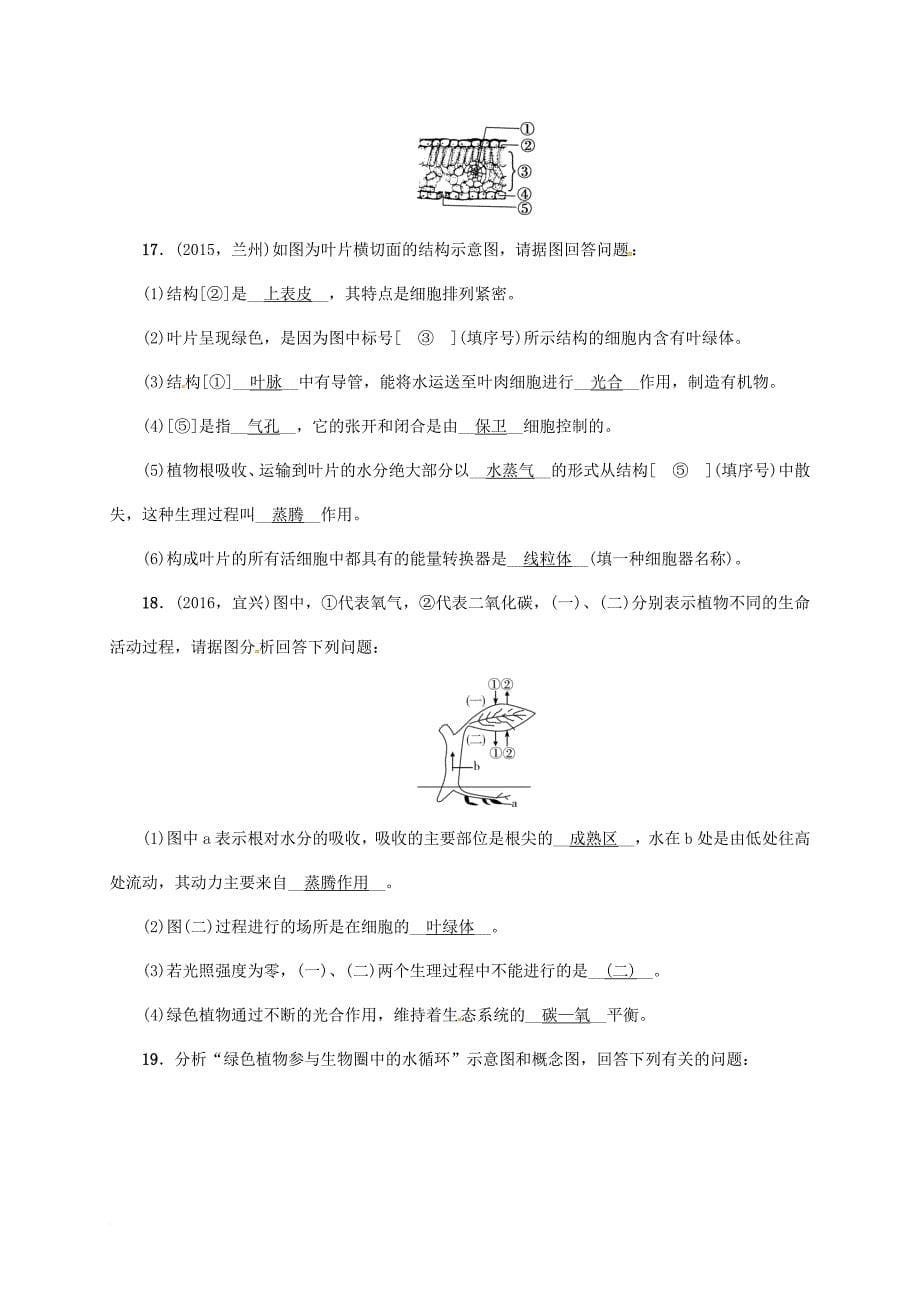 中考生物第一轮复习七上3_3绿色植物与生物圈的水循环训练新人教版_第5页