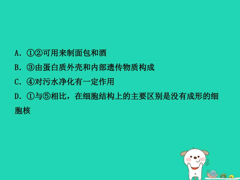 东营专版2019年中考生物专题十一复习课件_第3页