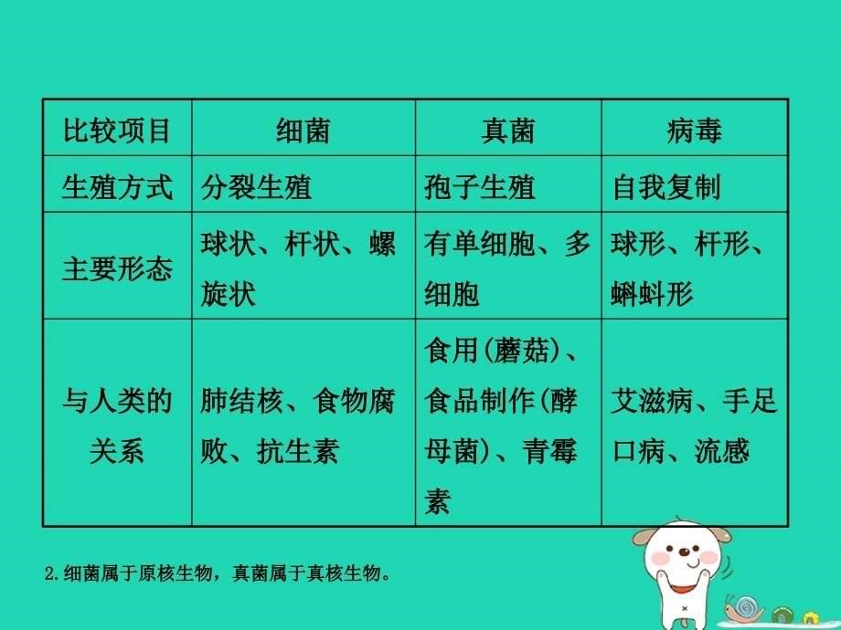 东营专版2019年中考生物专题十一复习课件_第5页