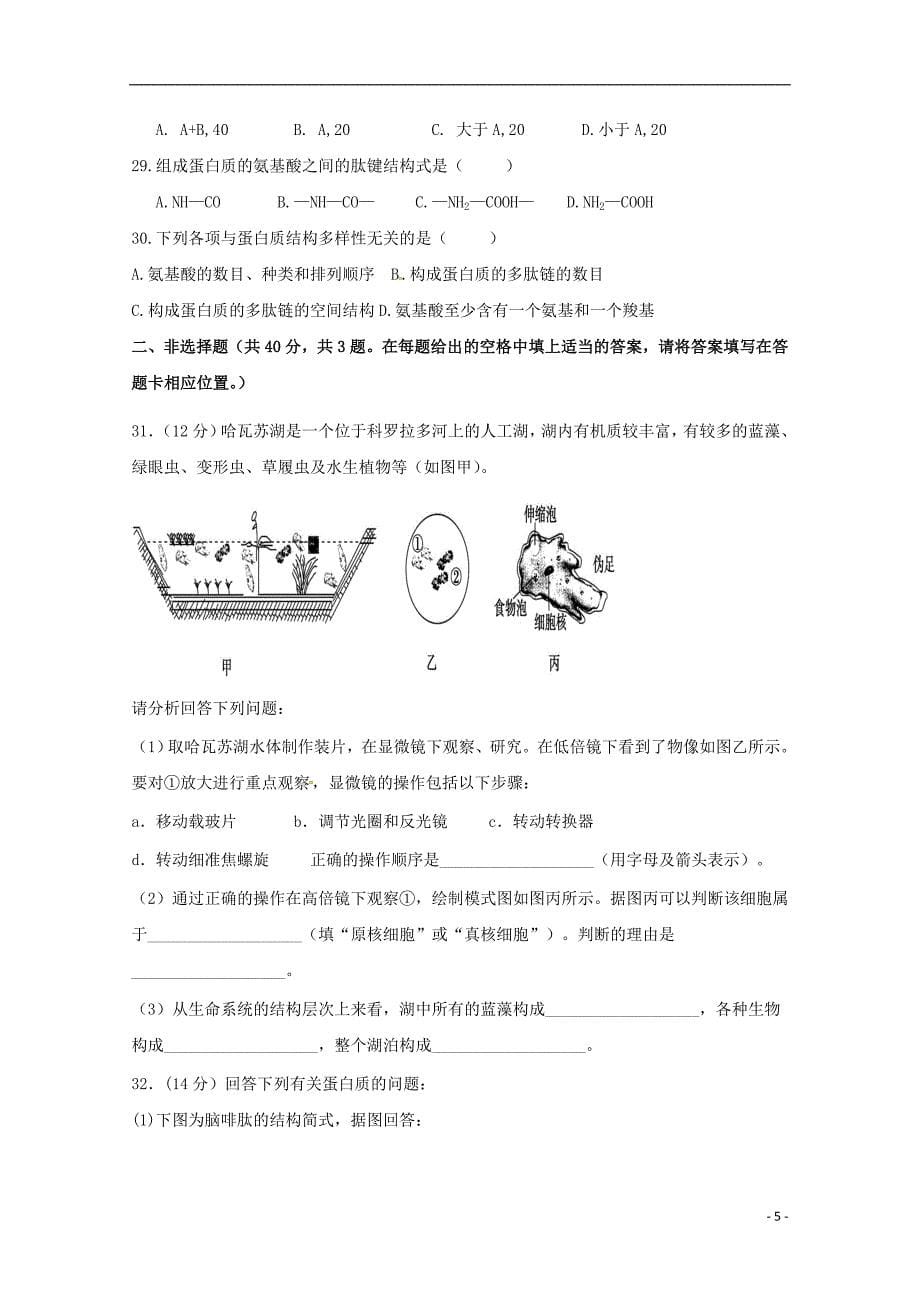 广东省蕉岭县蕉岭中学2017_2018学年高一生物上学期第一次质量检测试题_第5页