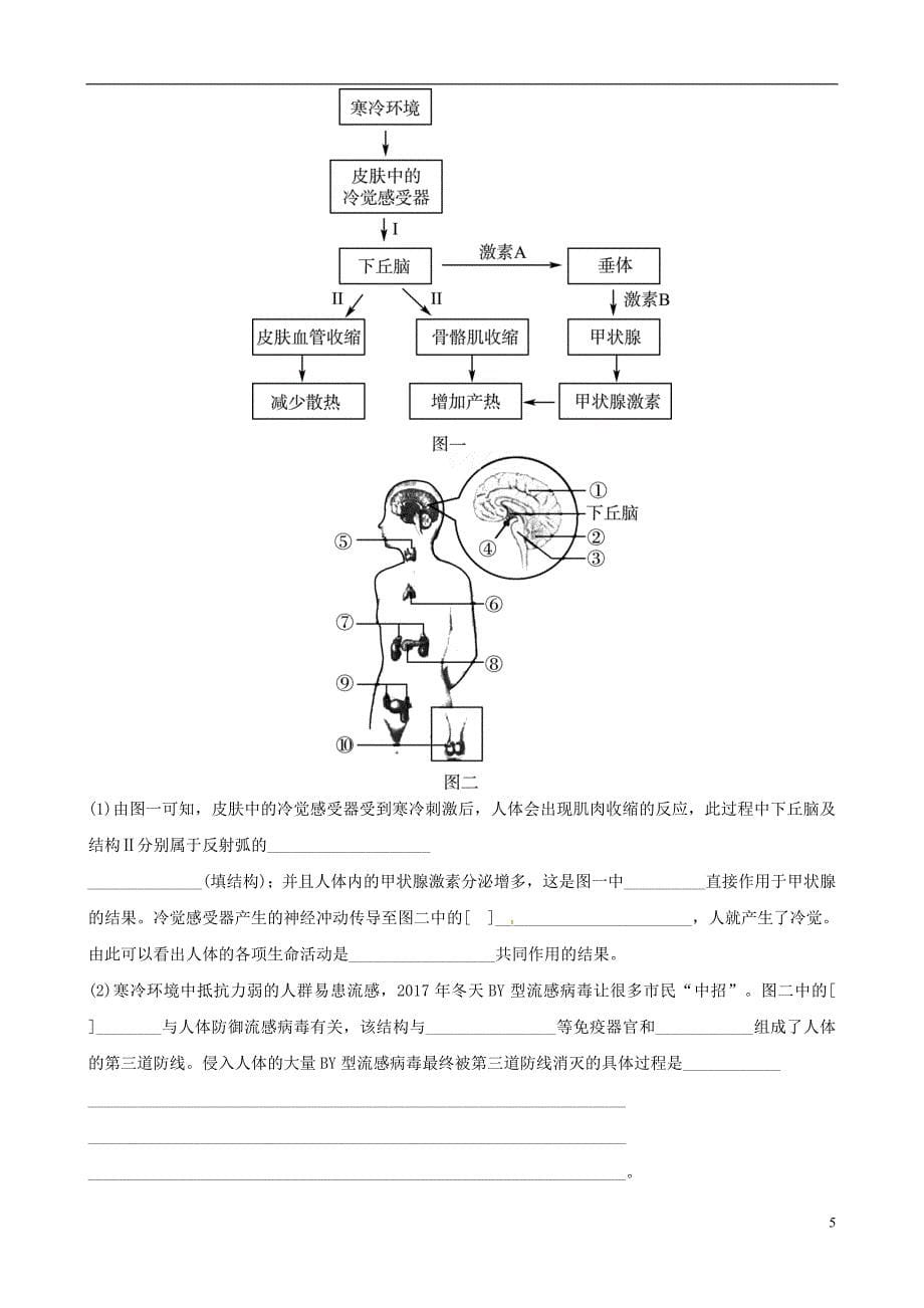 东营专版2019年中考生物专题五专题演练_第5页