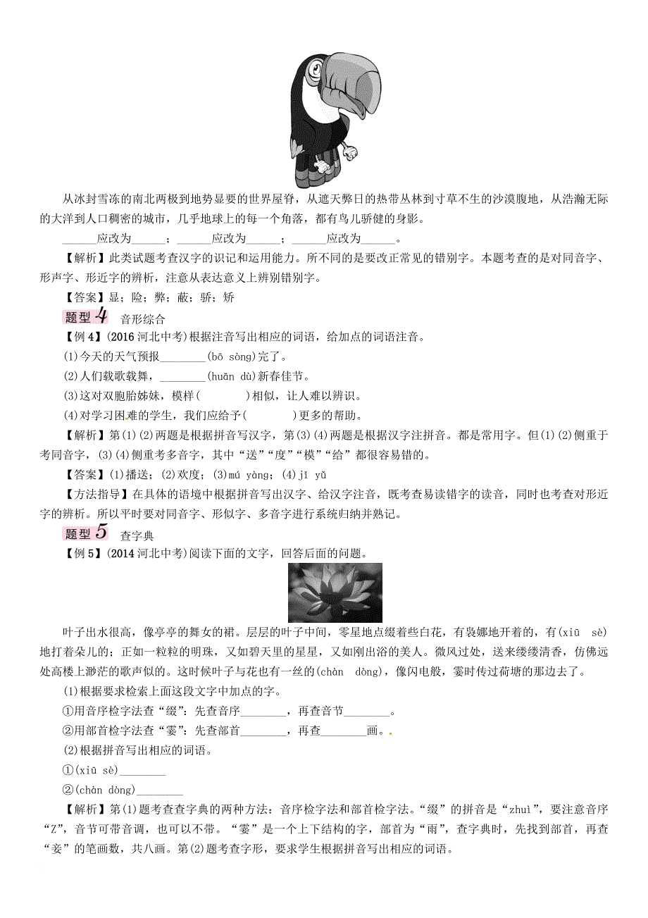 中考语文总复习第二编积累与运用篇专题四字音字形书写查字典_第4页