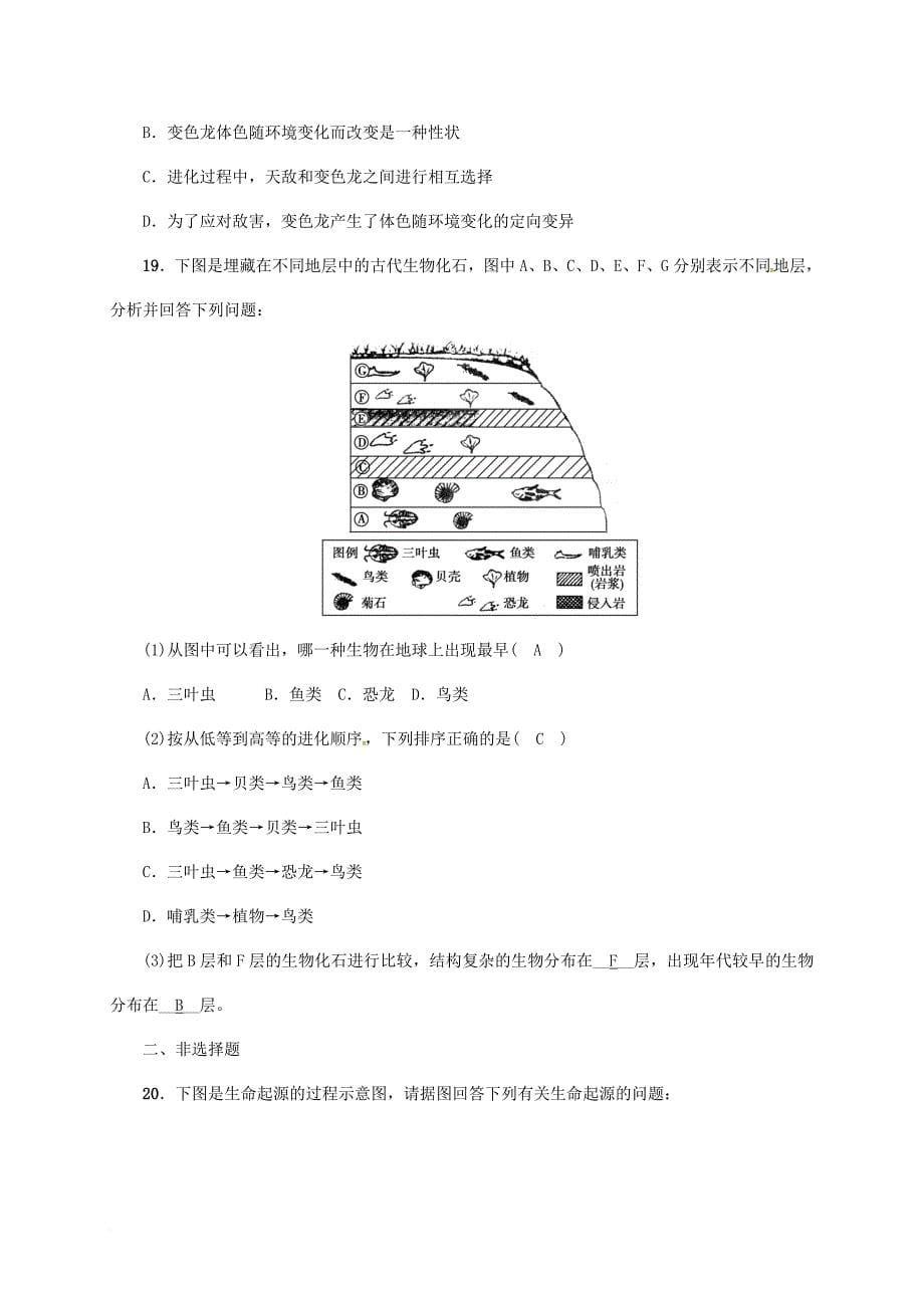 中考生物第一轮复习八下7_3生命起源和生物进化训练新人教版_第5页