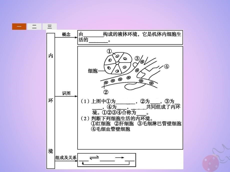 2018-2019学年高中生物 第1章 人体的内环境与稳态 1.1 细胞生活的环境课件 新人教版必修3_第5页