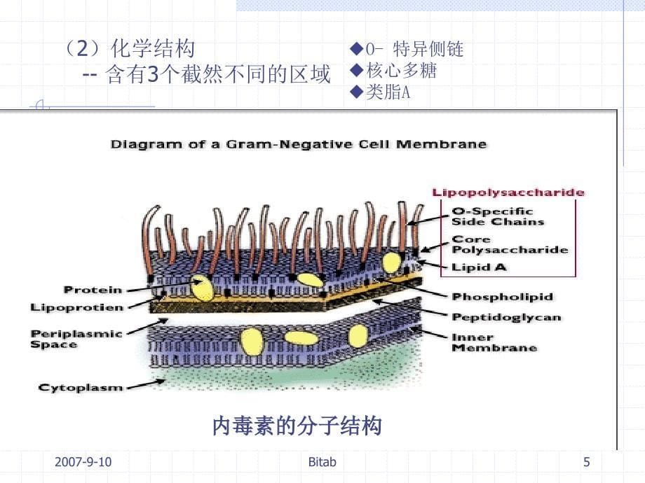 细菌内毒素检查技术培训班讲义_第5页