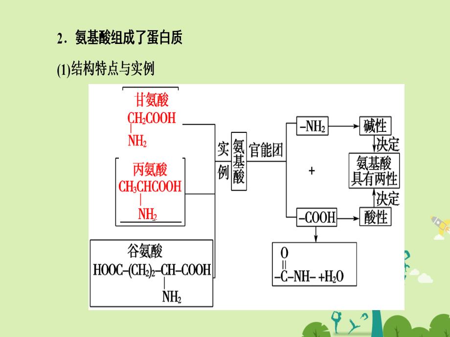 高中化学 第1章 关注营养平衡 第3节 生命的基础蛋白质课件 新人教版选修_第4页